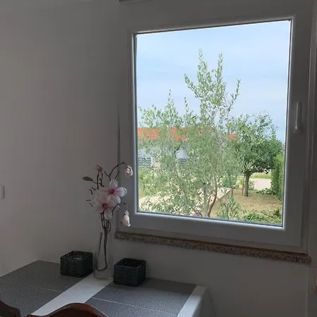 App Apartment